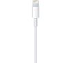 Lightning to USB Cable 1m Image 4