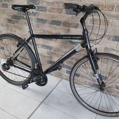 Hybrid bike