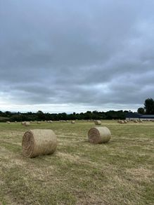 Hay for sale Ferns area