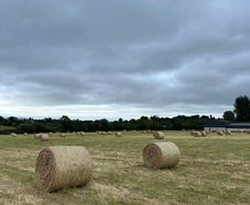 Hay for sale Ferns area