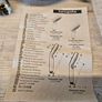 Hansgrohe Crometta Vario Shower Head + Hose Chrome/White Image 6