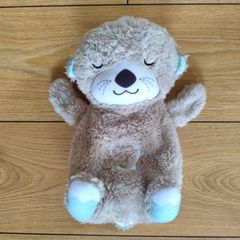 Fisher-Price Soothe & Snuggle Otter