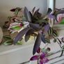 Trailing plants. Image 7