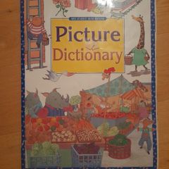 Picture Dictionary big book