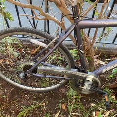 bike for parts or repair