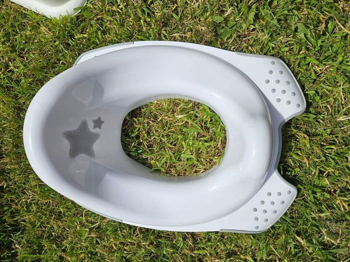 toddler toilet seat and step