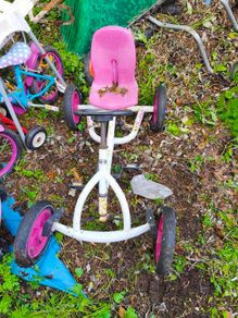 berg buddy pink go kart