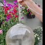 crackle glass hanging ceiling pendant light Image 3