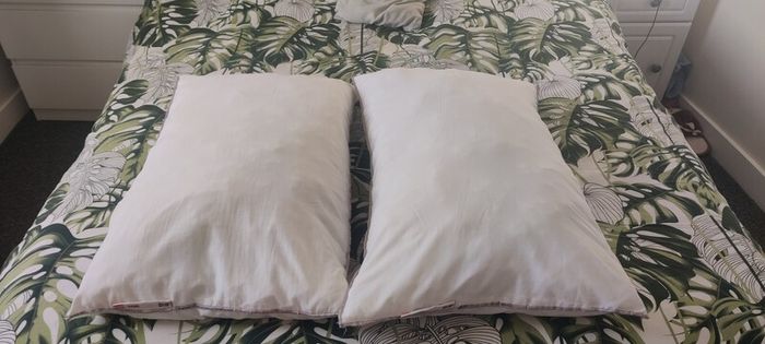 2 Bed pillows
