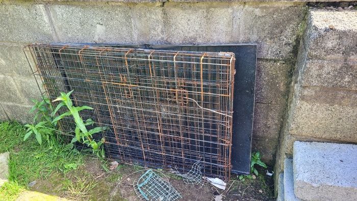 Free large dog cage
