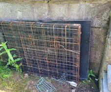 Free large dog cage