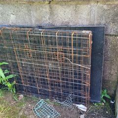 Free large dog cage