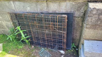 Free large dog cage