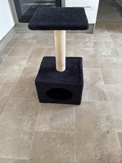 cat scratcher