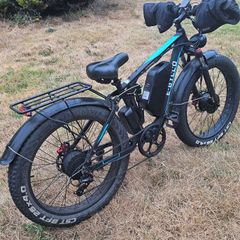 Pudari EB7 Adult Electric Bicycle 52V