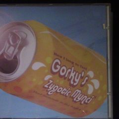 Gorky's  Zygotic Mynci - How I Long To Feel That Summer In My Heart CD