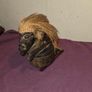Carved African Trinket Box Image 5