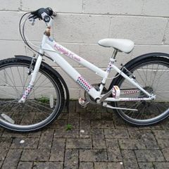 Girls Bicycle