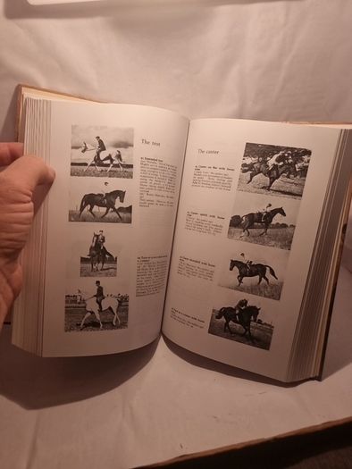 Give Your Horse a Chance (Allen's Classic Series) (Hardcover)  Lt. Col. A. L. D'Endrody