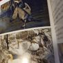 Nature Guide to the Aran Islands / Con O Rourke/ 2006/ Lilliput Press/ 1st edition Image 7