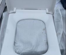 Toilet seat