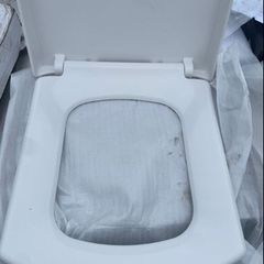 toilet seat