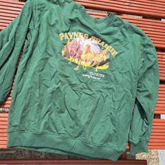 Green vintage looking horse sweathirt daisy street