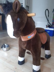 Ponycycle