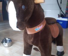 Ponycycle