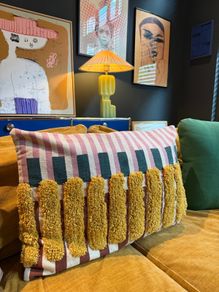cushion