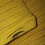 Canary Yellow Jumper Image 3