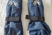 H&amp;M Thinsulate mittens (Mountain Explorer)