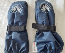 H&M Thinsulate mittens (Mountain Explorer)
