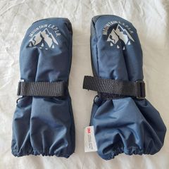 H&M Thinsulate mittens (Mountain Explorer)