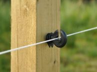 main image for ad 200 x RING Electric Fence Short Ring Insulators