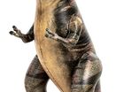 Dinosaur Inflatable, Tyrannosaurus Rex Inflatable Dinosaur Toy for Pool Party Decorations, 43
