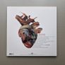 Carcass Torn Arteries Image 2