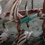 Plough for sale Image 3