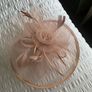 Mother of the bride/gromm dress+hatinator suze 14 Image 9