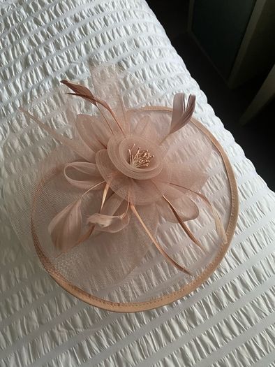Mother of the bride/gromm dress+hatinator suze 14