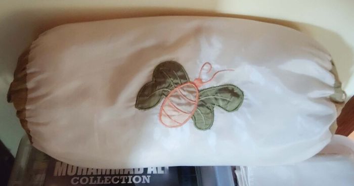 Cushion With A Design On The Front (used).