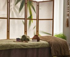 Room screen divider
