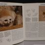 SALE!  The Illustrated Encyclopedia of WILDLIFE - Volume 3 - Mammals Image 7