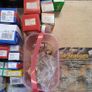 12 v car bulbs Image 4