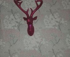 Stags Head