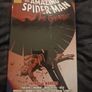 the amazing spider-man the gauntlet Image 3