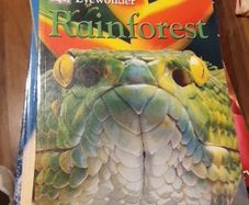 Rainforest Eyewonder Enter A World Of Discovery