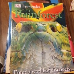 Rainforest Eyewonder Enter A World Of Discovery