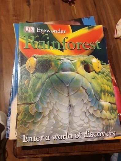 Rainforest Eyewonder Enter A World Of Discovery