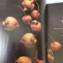 Meatless All Day Recipes For Inspired Vegetarian Meals In Very Good Condition From Pet Smoke Free Home Image 4